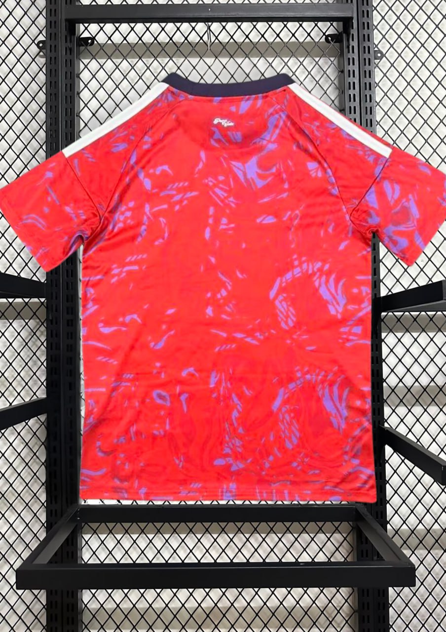 Maillot de foot Costa Rica CDM 26/27