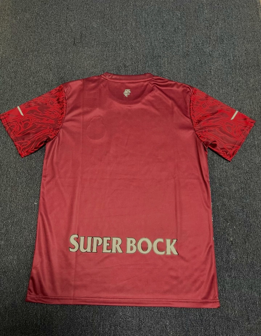 Maillot Football Porto Concept