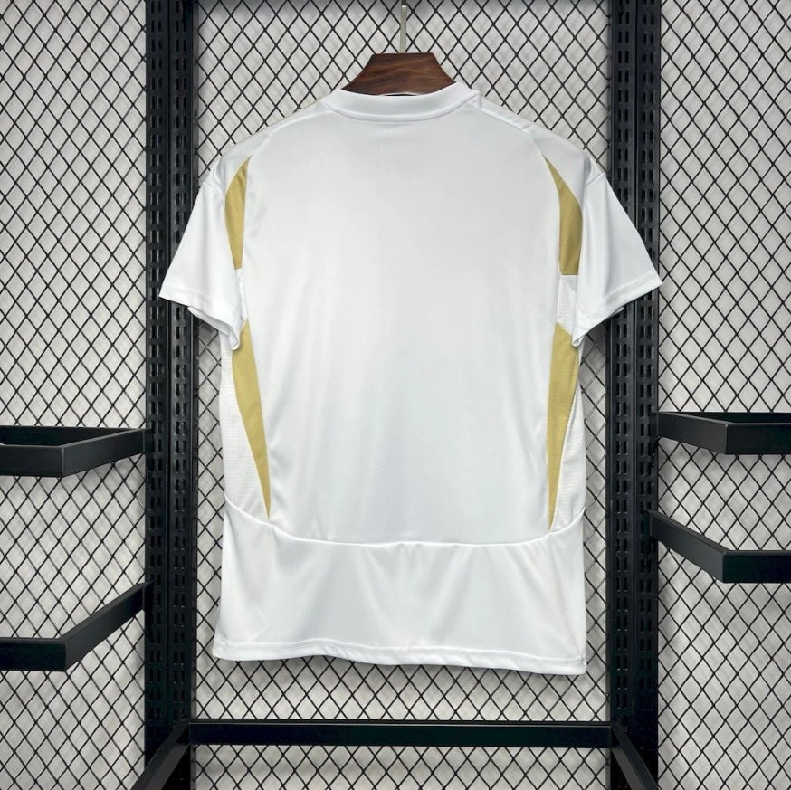 Al-Nassr 2024/25 Third