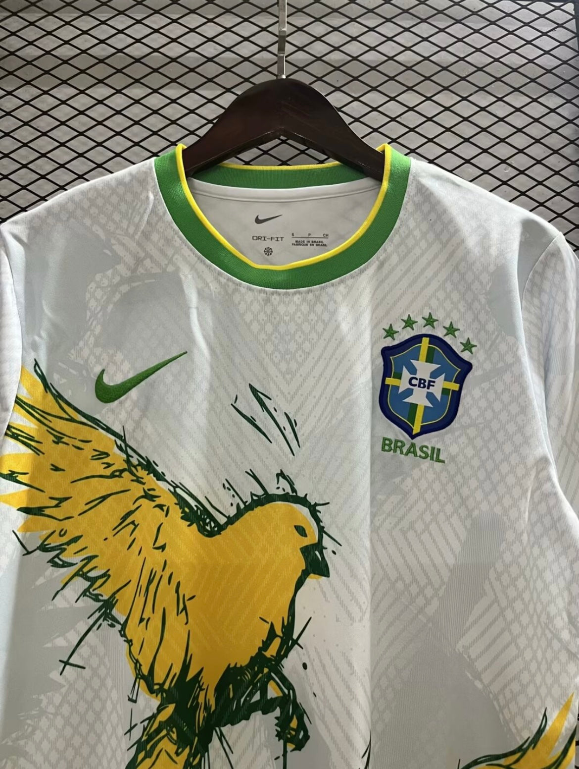 Brésil 2024 Concept