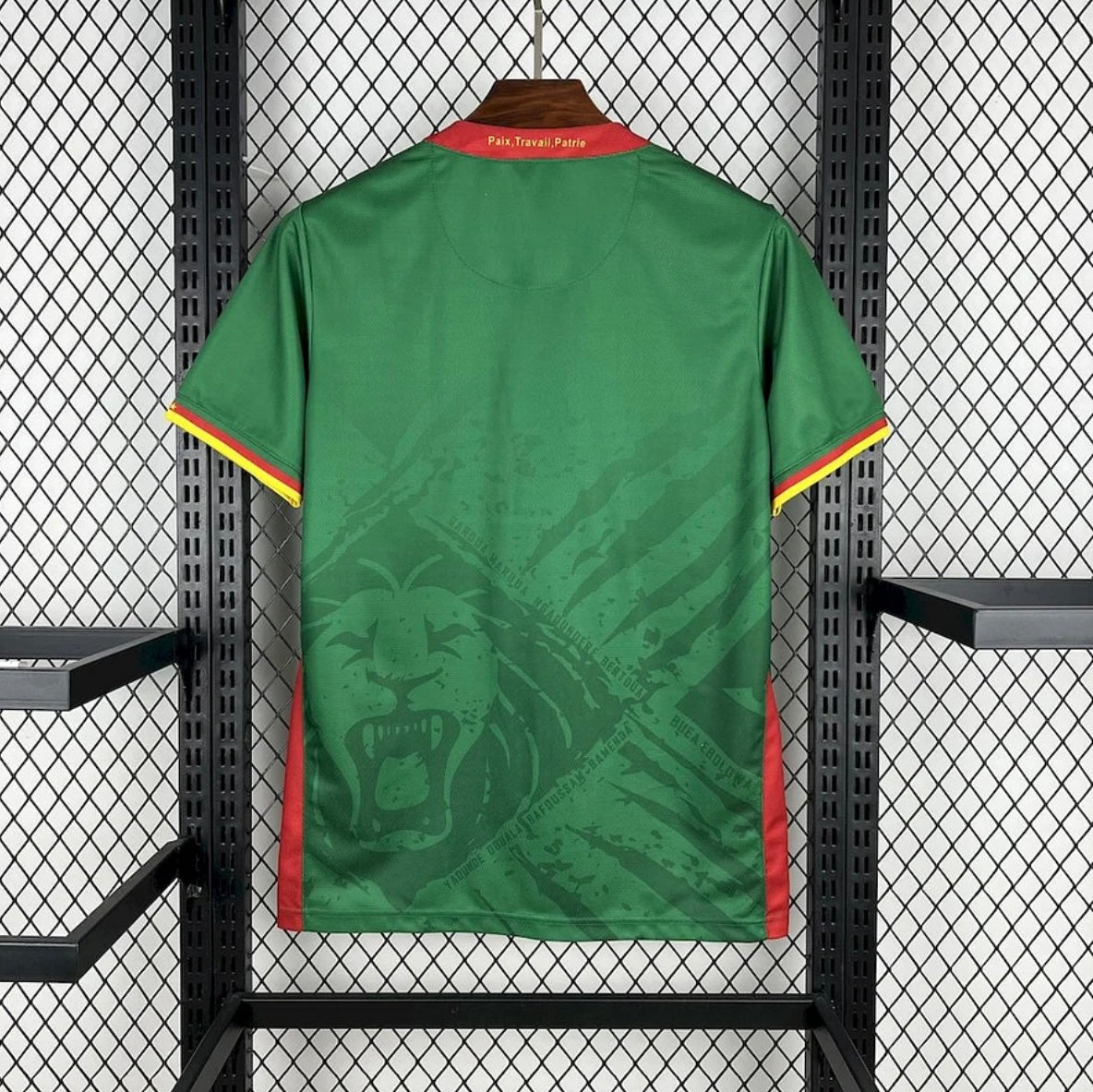 Cameroun 2025 Domicile