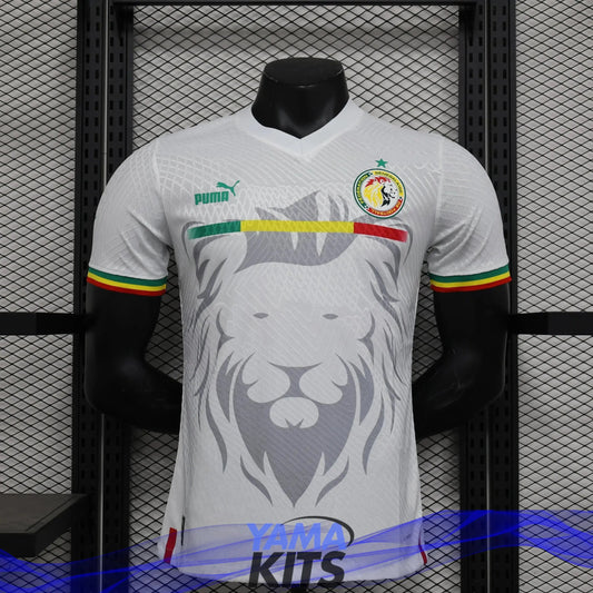 MAILLOT SENEGAL CONCEPT
